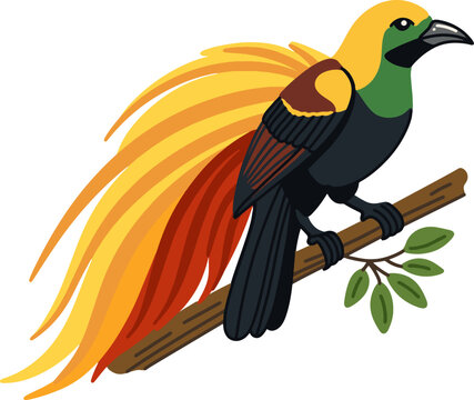Bird Of Paradise Exotic Wildlife Illustration