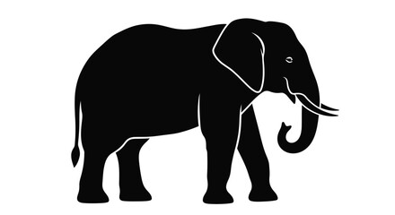 Fototapeta premium elephant silhouette on white background high quality professional detailed modern elegant