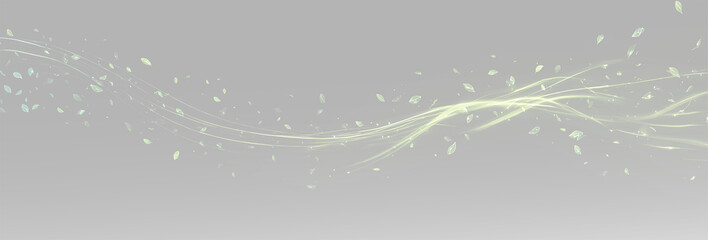 Green glowing light trails with shimmering particles and magic energy waves, overlay green leaves png © Alehandro