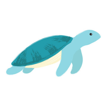Cute doodle style sea turtle illustration. Hand drawn marine animal in playful minimal style, perfect for kids design, nursery, ocean themes, stickers, prints and educational materials.
