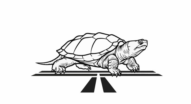 Line art of a turtle slowly crossing a road with lane markings
