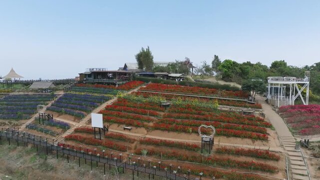Pull Back Shot Revealing Flower Garden Landscape &ndash; Rao Dok Lom Lhao Community Garden