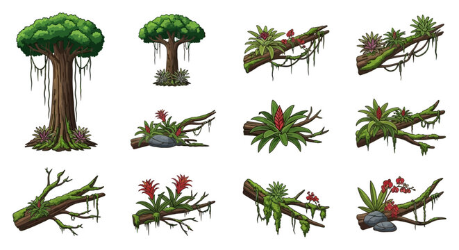 Collection of rainforest trees logs and epiphytic bromeliads with moss and vines depicted in a vector illustration style