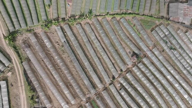 Top Shot Rising Over Rice Greenhouses &ndash; Mae Cham Mountains