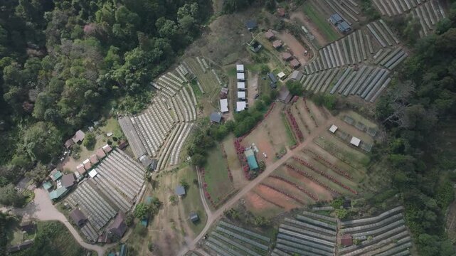 Complex Drone Movement Over Rice Greenhouses &ndash; Mae Cham Mountains