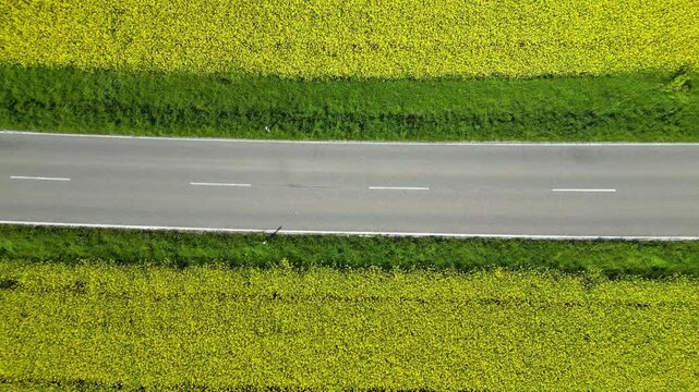 Flying over rapeseed fields in bloom, divided by a street