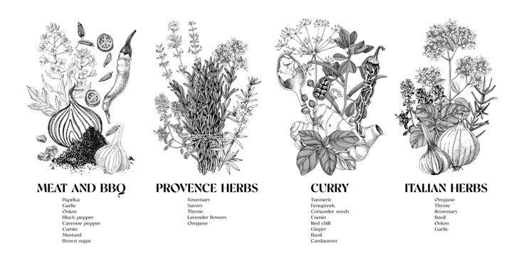 Hand drawn vector collection of classic spice blends