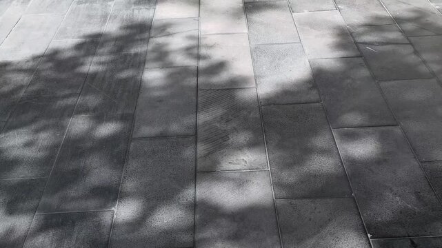 the shadow of swinging leafs falled on ceramic titles with sunlight, concept of abstract natural,wide-anglel.Tree Shadows Imprinted on the Floor Tiles