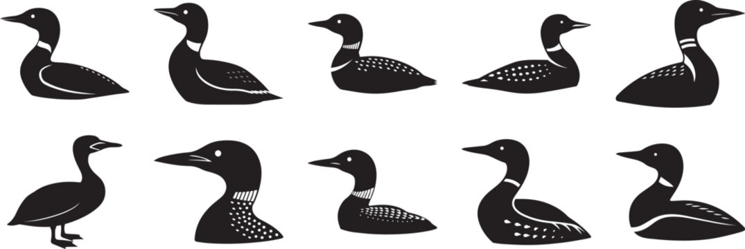 A set of 10 loon silhouette vector, black and white silhouette vector illustration