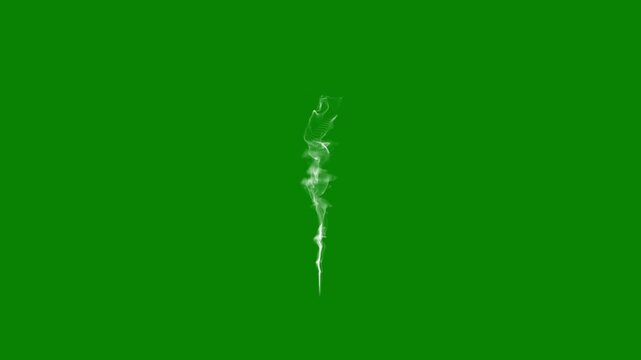 Super slow motion visible breath smoke exhalation in icy cold conditions captured on high speed camera isolated on green screen background creating realistic fog effect for cinematic overlay