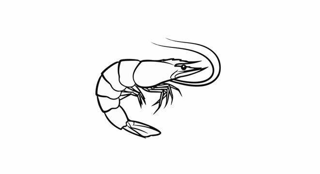 Stylized line drawing of a prawn with segmented body, antennae, and legs
