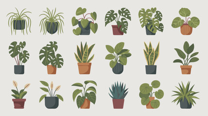 Collection of potted houseplants in a flat style potted plants indoor plants green leaves © MadhobiRani