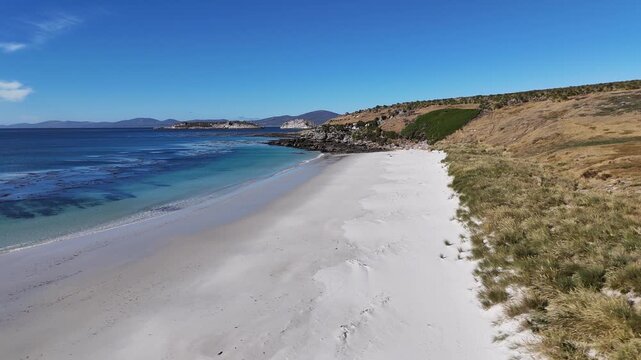 Drone view of gentoo penguins standing on beach with ocean and coastal terrain in Carcass Island Falkland Islands