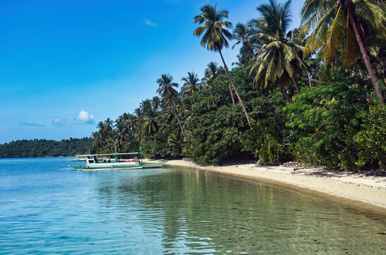 Tropical beach at Ipil Beach, Palawan, Philippines with crystal-clear turquoise water, white sand shoreline, and lush palm trees.