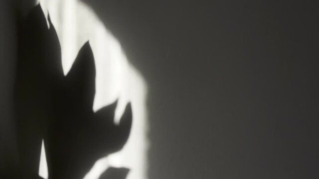 organic botanical shadow dances across textured plaster wall evoking mindful wellness biophilic authenticity