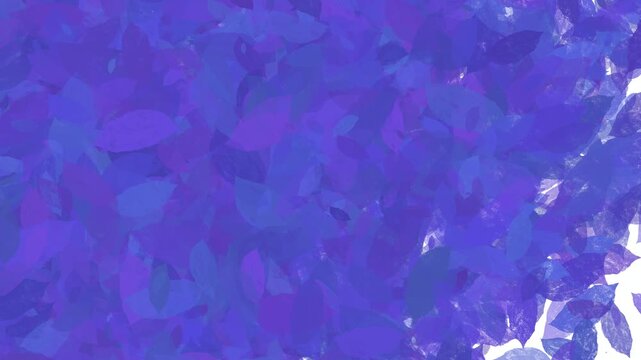 Abstract motion transitions organic leave set 