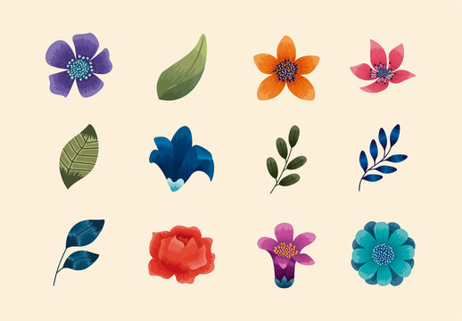 Flowers Illustration Set