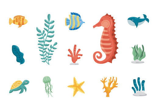 World Oceans Day Illustration Set