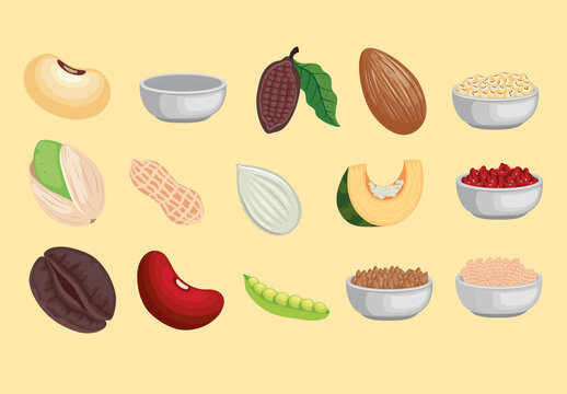 Seeds Beans Food Illustration Set