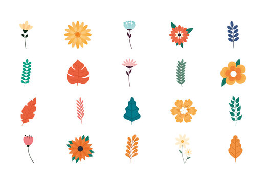 Floral Botanical Illustration Set