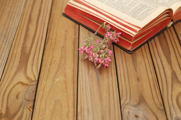 Naklejka premium Book resting on wooden table with small pink flowers beside it on a sunny day