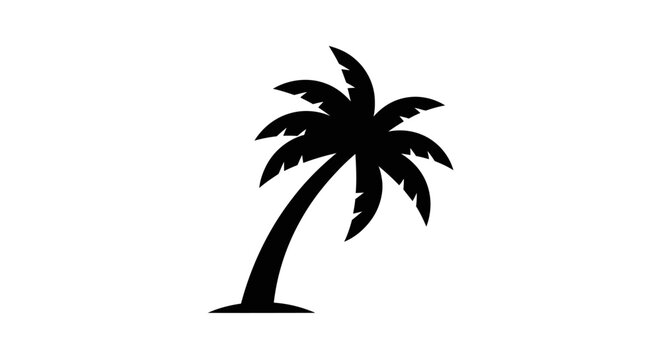 Black silhouette of a palm tree.