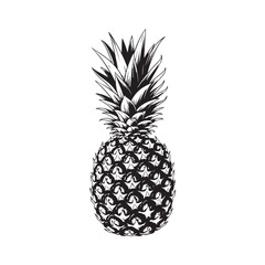 Detailed black and white pineapple fruit illustration in vintage woodcut style isolated on white background © Zulfa