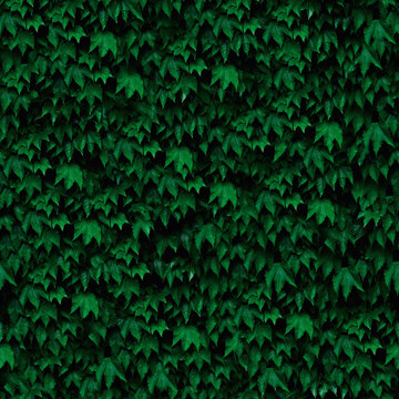 Greenery Leaves Seamless Texture 4K