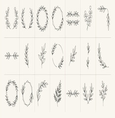 Fototapeta premium botanical_collection