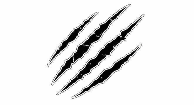 Four jagged, torn claw marks on a white background