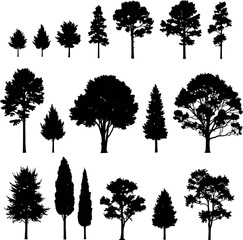 Fototapeta premium Diverse collection of black tree silhouettes including deciduous conifer cypress shapes for architectural and environmental design silhouette deciduous landscape environment evergreen