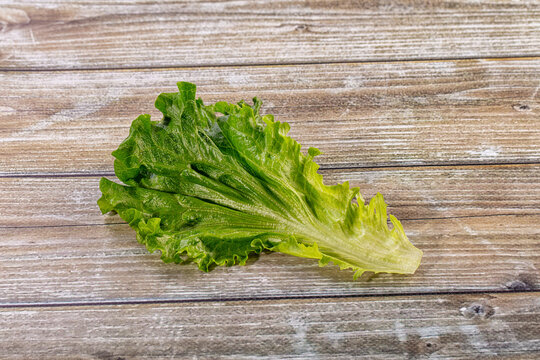 Single fresh leaf of green salad on a textured wood surface. Top view