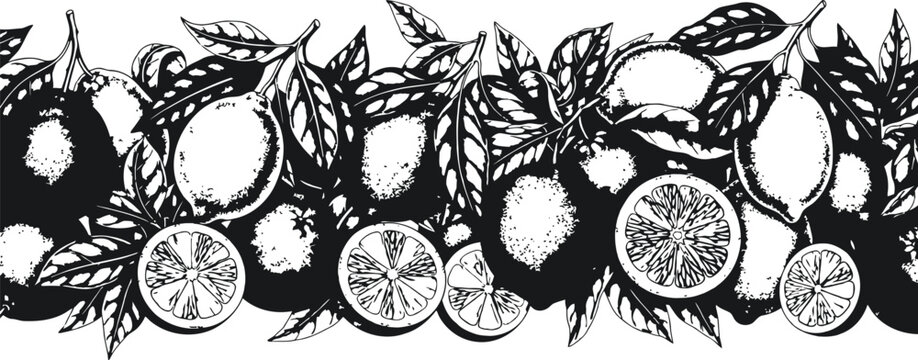 Freshly picked lemons and leaves in a detailed black and white illustration border