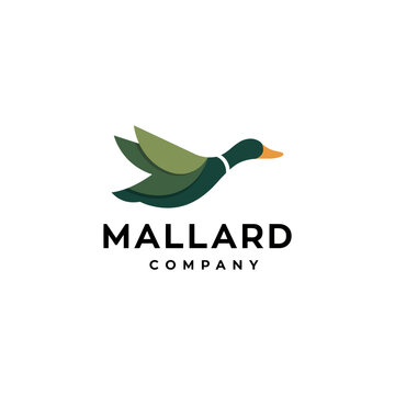 The logo of Mallard Company, featuring a stylized duck, represents the brand's identity, evoking a sense of professionalism and creative branding in business.
