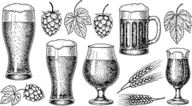 Hand Drawn Beer Glasses with Hops and Wheat Elements in Stippling Style
