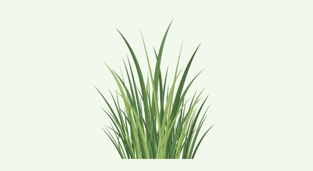 Fototapeta premium Green grass grows abundantly in natural environment outdoors freely