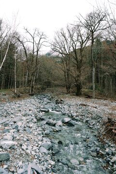 上高地 透き通った梓川の清流 森の中の青い水とゴツゴツした岩 正面から
