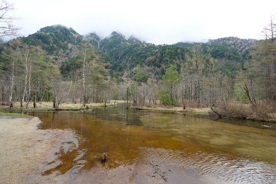 上高地 曇り空の田代池 広角のショット