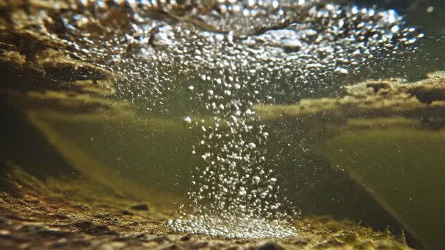 Underwater air bubbles rising from mossy riverbed surface in nature
