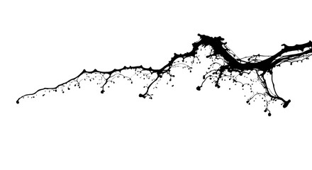 Obraz premium Black ink splatter on with dynamic fluid motion
