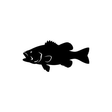 Solid black silhouette of a largemouth bass fish isolated on a white background for fishing or wildlife branding