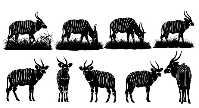 A group of zebras and antelopes are standing and grazing in a natural savannah landscape with grass.