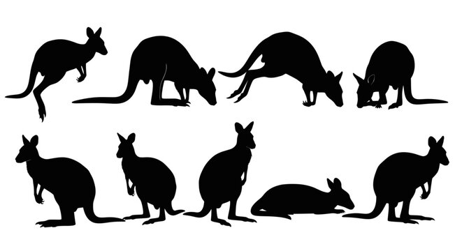 A group of black kangaroo silhouettes are standing and sitting in various poses on a plain white background in an outdoor setting.