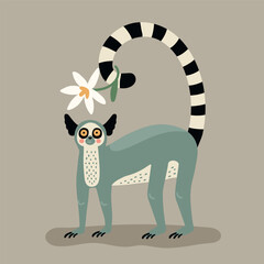 A cartoon illustration of a striped-tailed lemur holding a white flower. A cute animal drawing for children's design in a flat style. © Lana