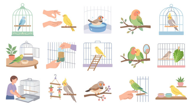 Flat Illustration of Pet Birds and Cages, Bird Care and Feeding