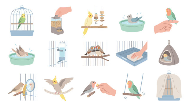 Flat Vector Illustrations of Birds and Bird Cages, Pet Care