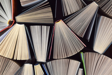 Naklejka premium Lots of books. Educational theme. Learning concept