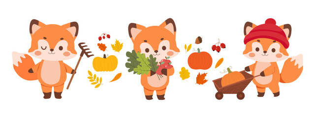 Fototapeta premium Set of three autumn foxes harvesting pumpkins and apples with garden tools and autumn leaves isolated on white background