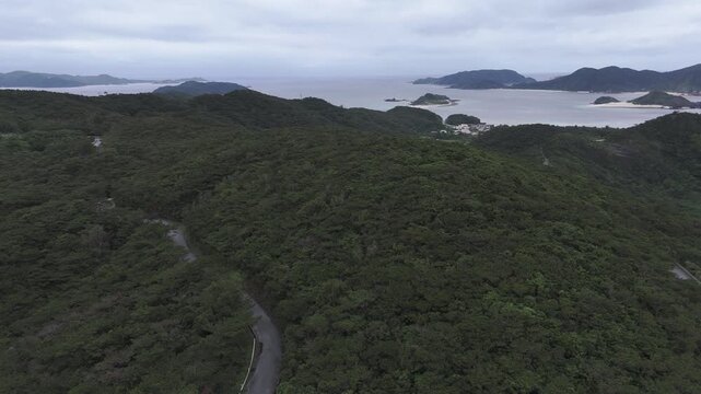 Aerial drone view from mountain top overlooking green forest, coastal city and ocean under cloudy sky in Japan