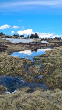 Les magnifiques paysages de tourbi&egrave;res et de sources des landes d'altitude du mont Loz&egrave;re au printemps (parc national des C&eacute;vennes)